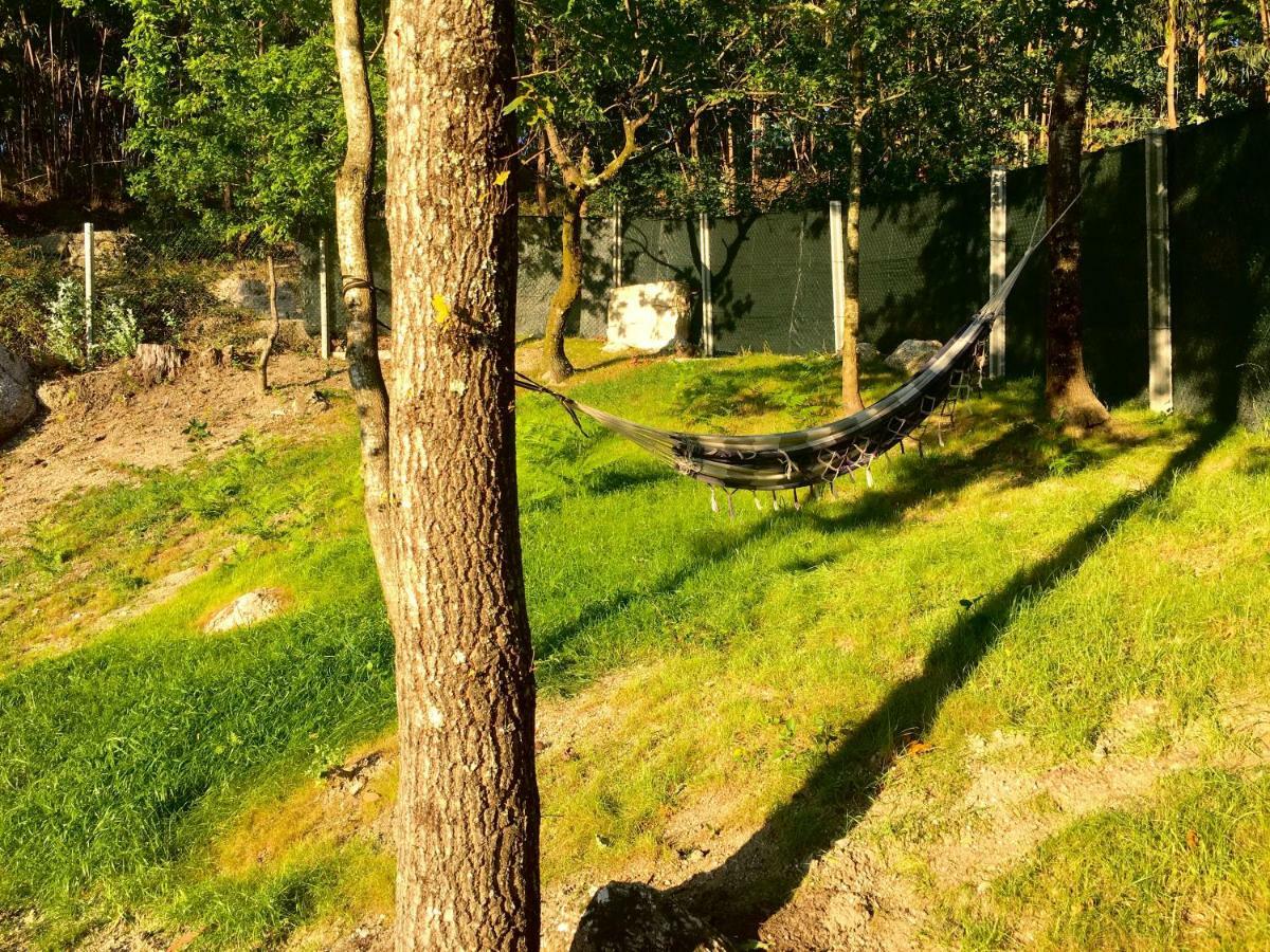 The Green Roof House فييرا دو مينهو المظهر الخارجي الصورة